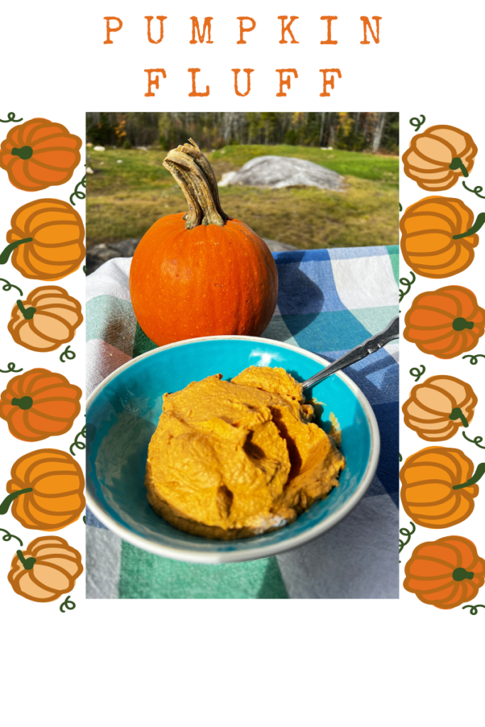 table top with a blue, green and white checkered pattern, with a small pumpkin and bowl of pumpkin dessert